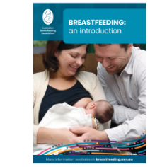 How breasts make milk Australian Breastfeeding Association
